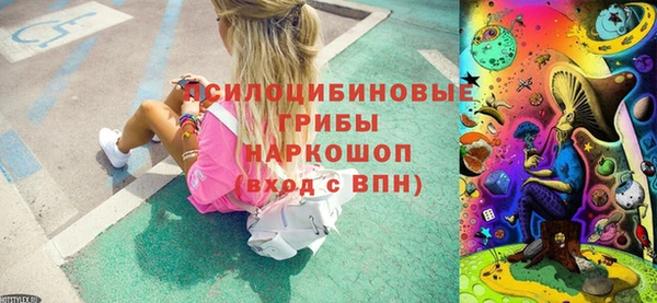 spice Алзамай