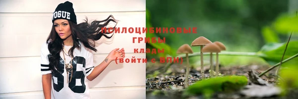 MESCALINE Медвежьегорск