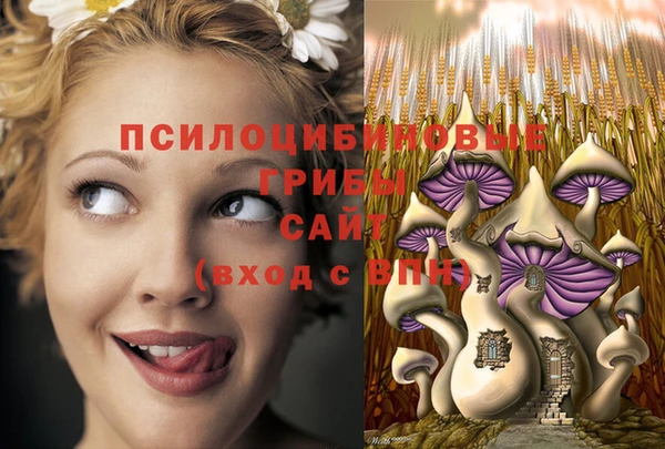 spice Алзамай