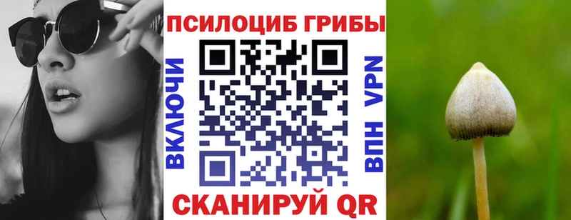 Псилоцибиновые грибы Cubensis  гидра маркетплейс  маркетплейс наркотические препараты  наркота  Сельцо 